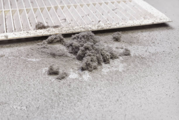 Best Commercial HVAC Duct Cleaning  in Fox River Grove, IL