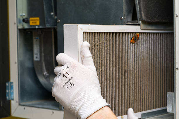 Best Residential Air Duct Cleaning  in Fox River Grove, IL