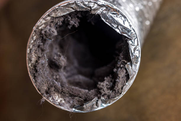 Best Affordable Duct Cleaning Services  in Fox River Grove, IL