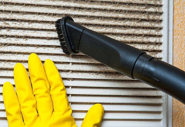 Best Affordable HVAC Duct Cleaning  in Fox River Grove, IL